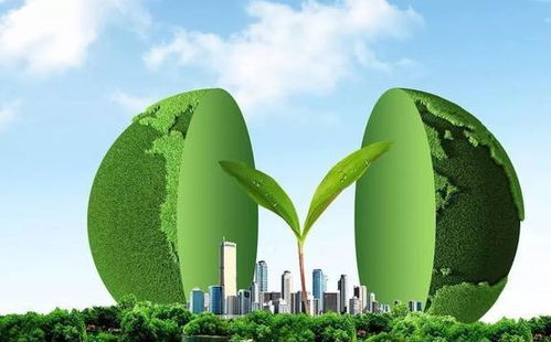 綠化帶在中國隨處可見,為何注重環(huán)保的歐洲,反而幾乎沒有